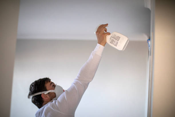 Best Professional Mold Removal  in Pine Lakes, FL