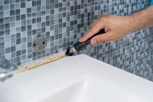 Best Mold Testing and Removal  in Pine Lakes, FL